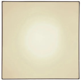 Globo 15585D3 - Plafonieră LED SANNA LED/40W/230V 3000/4000/6000K