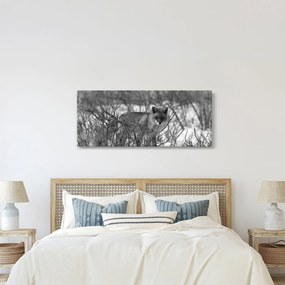 Tablou - Vulpe în timpul iernii (120x50 cm)