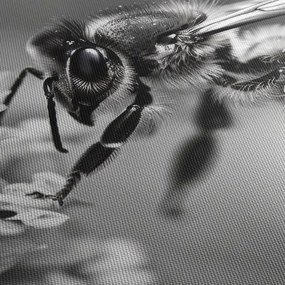 Tablou - Detaliu de albină (120x50 cm)