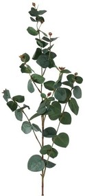 Ramura decorativa eucalipt 87/15 cm