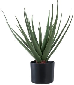 Plantă artificială (înălțime 51 cm) Aloe Vera – House Nordic