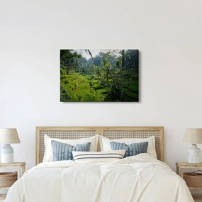 Tablou cu terasele cu orez Tegalalang, Bali (90x60 cm)