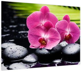 Tablou - Orhidee roz cu frunze de palmier (70x50 cm)