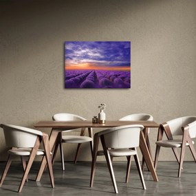 Tablou câmpului cu lavandă (70x50 cm)