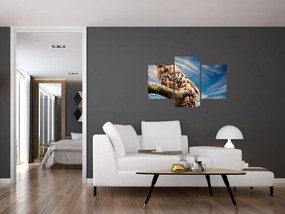 Tablou - Bufniță (90x60 cm)