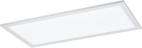 Eglo 55149 - LED RGBW reglabil, panou LED montat pe suprafață/12W/230V 30x60 cm alb +telecomandă