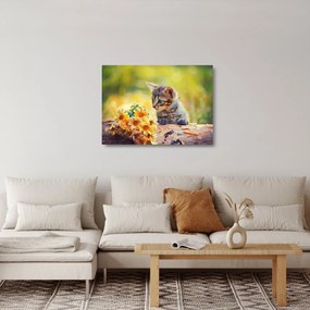 Tablou pe sticlă cu pisicuța uitându-se la floare (70x50 cm)