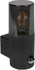Aplica de exterior cu senzor 1xE27/40W/230V IP44 negru/fumuriu