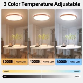 BRILAGI - Corp de iluminat LED dimabil GLASS POOL DOUBLE LED/80W/230V 60 cm cupru + telecomandă