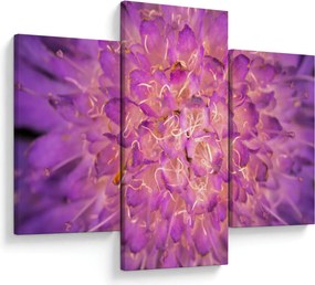 Tablou detailat cu floare (90x60 cm)