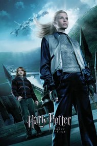 Poster de artă Harry Potter and the Goblet of Fire - Fleur