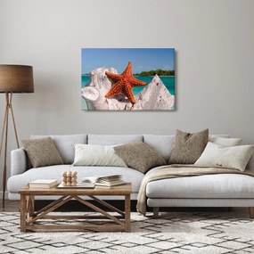 Tablou cu stea de mare (90x60 cm)