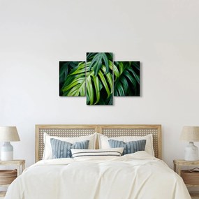 Tablou - Frunze tropicale (90x60 cm)