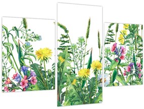 Tablou - Flori de pajiște pictate (90x60 cm)