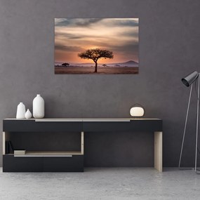 Tablou apusului de soare în Tanzania (90x60 cm)