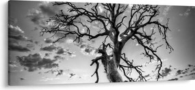 Tablou - Copacul, alb-negru (120x50 cm)