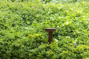 Stalp LED iluminat exterior IP65 ESPO H-35cm maro rustic