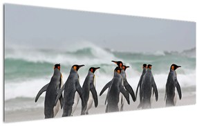 Tablou pinguini în ocean (120x50 cm), în 40 de alte dimensiuni noi