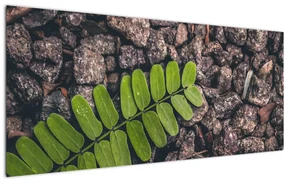 Tablou cu planta verde (120x50 cm)