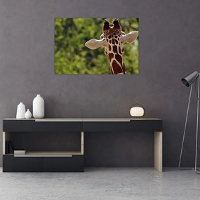 Tablou cu girafă din spate (90x60 cm)