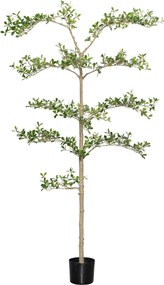 Copac artificial realist Bucida buceras Shady Lady, dimensiuni multiple - PotteryPots mărimea: L - ø 48 cm | înălțime 180 cm