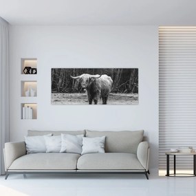 Tablou - Vacă scoțiană 3,alb-negru (120x50 cm)