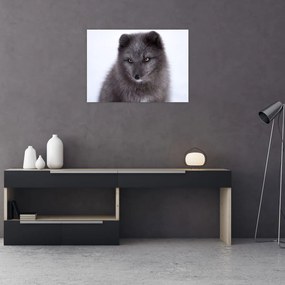 Tablou pe sticlă cu vulpe polară (70x50 cm)