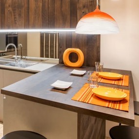 Lustră pe cablu 1xE27/60W/230V