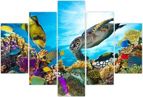 Tablou - Recif de corali (150x105 cm)