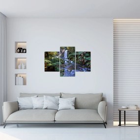 Tablou cu pădurea ploilor din Austalia (90x60 cm)