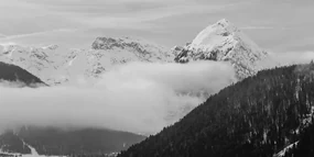 Tablou natura iarna alb-negru