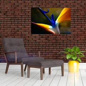 Tablou - Floare exotică (90x60 cm)