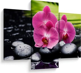 Tablou - Orhidee roz cu frunze de palmier (90x60 cm)