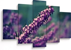 Tablou cu lavanda (150x105 cm)