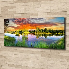 Tablou canvas Râul în pădure