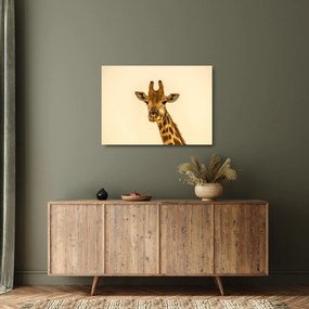 Tablou pe sticlă cu girafe (70x50 cm)