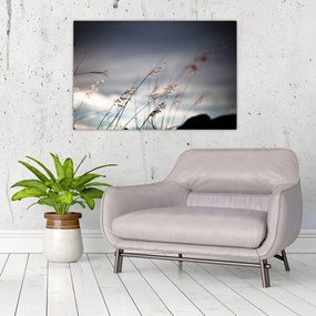 Tablou -Flori de luncă (90x60 cm)