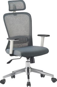 Scaun ergonomic, Spătar Mesh Respirabil, Suport Lombar Reglabil 2D, Tetiera Reglabila, Mecanism Balans Si Inclinare 90–125°, Reglare Pe Inaltime, Pivotant 360°, Baza Metalica Stabila, Roti Silentioase, Gri/Alb