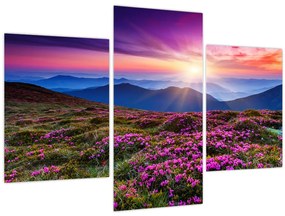 Tablou - Munte înflorit peisaj (90x60 cm)