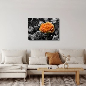 Tablou pe sticlă cu floare (70x50 cm)