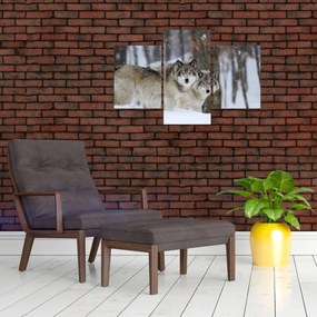 Tablou - Lupii în timpul iernii (90x60 cm)