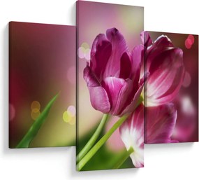 Tablou cu lalele roz (90x60 cm)