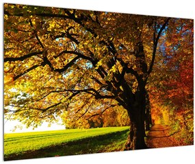 Tablou cu toamna (90x60 cm)