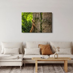 Tablou - Veverița (90x60 cm)