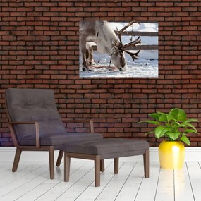 Tablou - Sâmbătă (70x50 cm)