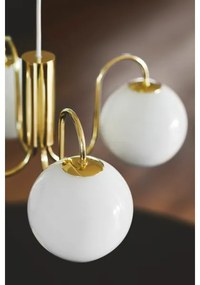 Lustră pe cablu Nordlux FRANCA 4xE14/40W/230V