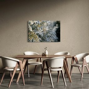 Tablou - Detaliu ramură (90x60 cm)