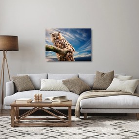 Tablou pe sticlă cu bufnița (70x50 cm)