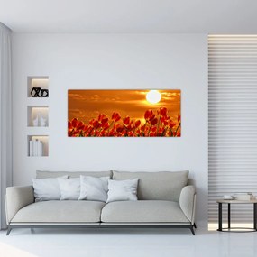 Tablou - lan înflorit de lalele (120x50 cm)
