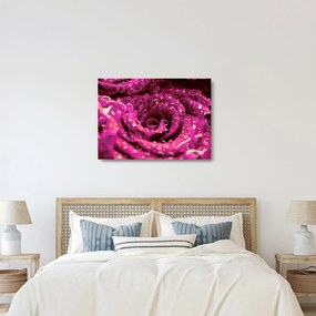 Tablou pe sticlă cu floarea trandafirului roz (70x50 cm)